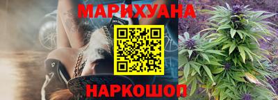 индика Краснознаменск