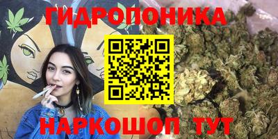 гашик Краснодар