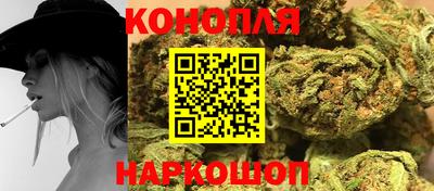 индика Краснознаменск