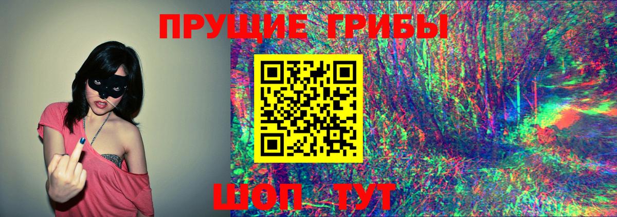 Псилоцибиновые грибы прущие грибы Костомукша