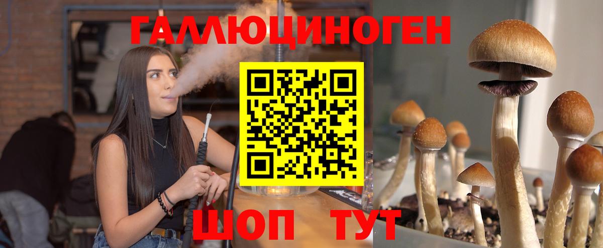 Псилоцибиновые грибы MAGIC MUSHROOMS  где найти   Костомукша  Вход с VPN 